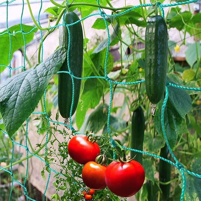 Trellis Netting for Climbing Plants - Heavy Duty Garden Trellis Netting for Cucumber, Vine, Fruits & Vegetables Tomato Plants Trellis Net, Climbing Vining Plants (2-Pack 16.4' x 6.6'Ft)