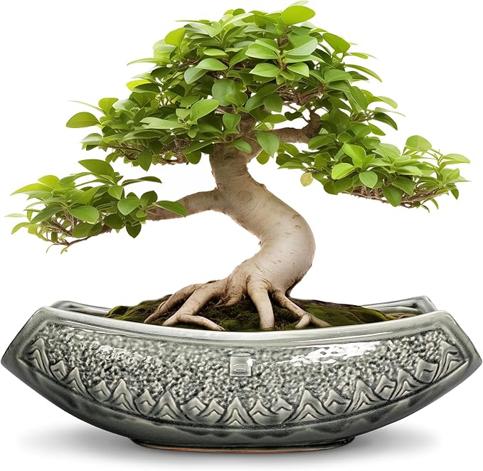 Bonsai Pots 18 Inch - Ceramic Succulent Pots, Large Bonsai Planter for Indoor Outdoor Plants, Decorative Plant Pot with Drainage Hole, Ceramic Flower Pot, House Decor, Plant Lover Gifts, Grey