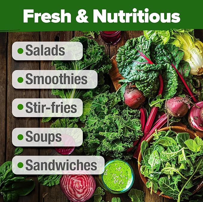 HOME GROWN Lettuce Seeds 8 Variety Mix 9000+ Bulk Pack Heirloom Non-GMO High Germination, Romaine, Bibb, Buttercrunch, Leafy Greens, Indoor Outdoor Hydroponic Garden, Cut & Come Again (Lactuca sativa)