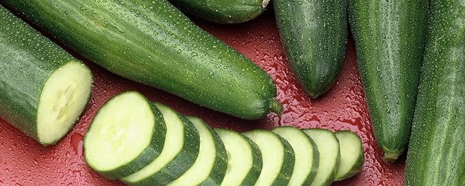 Seeds Cucumber Emelya Giant Burpless for Pickling Vegetable for Planting Heirloom Non GMO