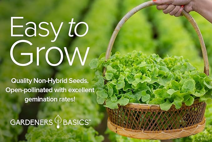 Gardeners Basics Lettuce and Greens Heirloom Vegetable Seed Non-GMO Seeds for Planting Indoors and Outdoor - Lettuce Buttercrunch, Romaine, Arugula, Kale and Spinach, Pack of 5