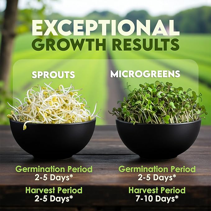 Nature Jims Organic Radish Sprout Seeds – 16 Ounce Premium Non-GMO Radish Seeds for Sprouting, Rich in Vitamins, Minerals, Fiber & Protein – Microgreen & Sprout Seeds for Home Growing
