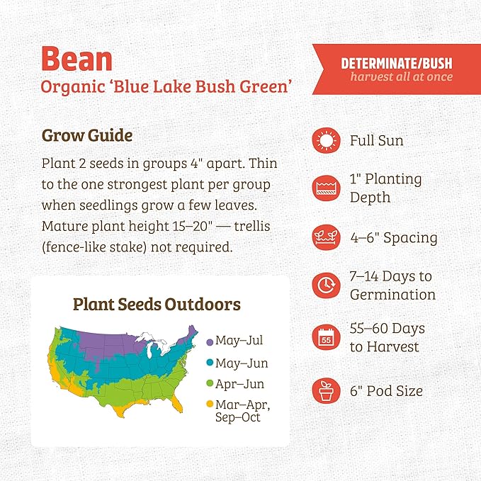 Back to The Roots 100% Organic Seed Packet Blue Lake Bush Bean