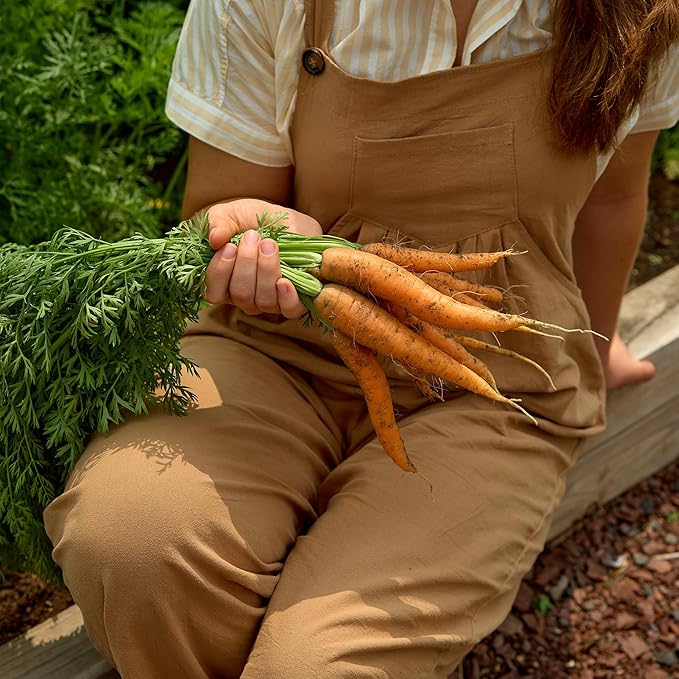 Burpee Organic Nantes Half Long Carrot Seeds - Sweet, Stump-Rooted Variety