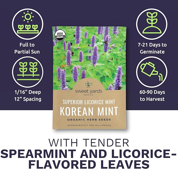 Organic Korean Mint ‘Superior Licorice’ – Agastache Rugosa Seeds – Two Seed Packets! Over 2,000 Open Pollinated Non-GMO Seeds – Sweet Yards Seed Co.