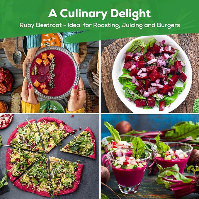 800+ Heirloom Fruivity Detroit Dark Red Beet Seeds for Planting-Non-GMO Vegetable Seeds, High Germination, USA Grown, for Home Garden & Fresh Beets