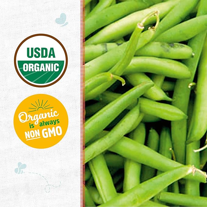 Back to The Roots 100% Organic Seed Packet - Bean 'Tendergreen' 8.4g