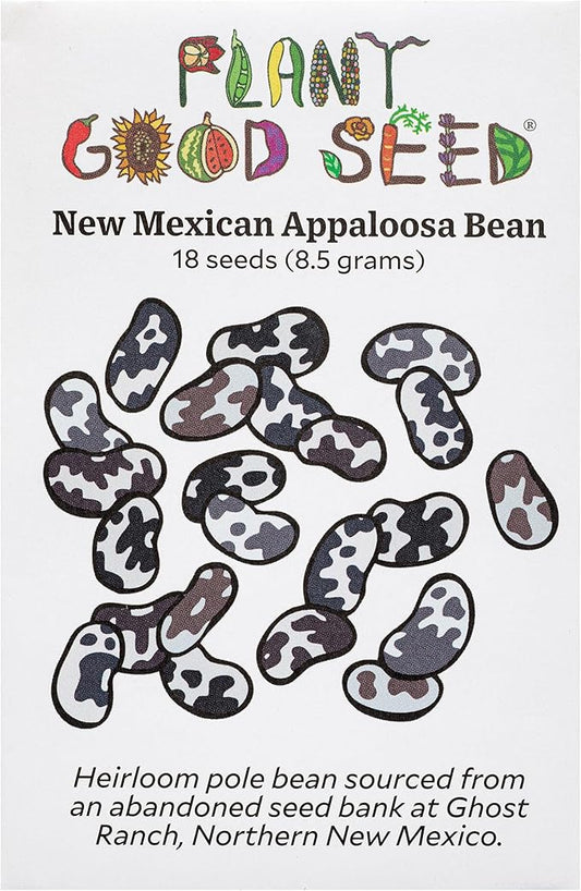 Plant Good Seed Organic New Mexican Appaloosa Bean Seeds for Planting: Heirloom Pole Vine, Black and White Speckled Beans - 18 Seed Packet