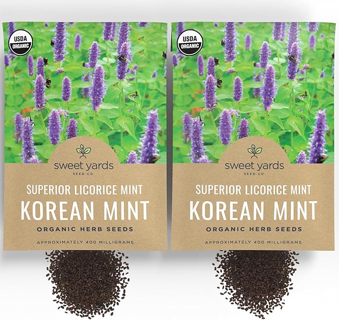 Organic Korean Mint ‘Superior Licorice’ – Agastache Rugosa Seeds – Two Seed Packets! Over 2,000 Open Pollinated Non-GMO Seeds – Sweet Yards Seed Co.