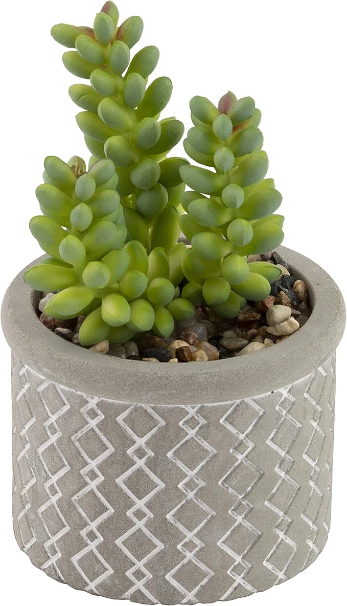 Boston International Decorative Faux Succulent Plants, Set of 6, Society of Succulents