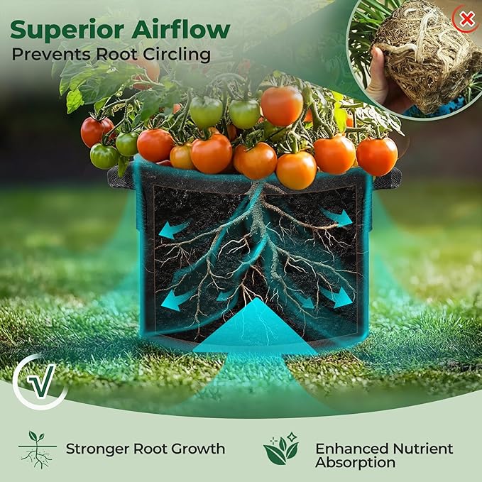 T4U 10 Gallon Grow Bags, Fabric Pots for Plants Potato Planter Grow Garden Bags to Grow Vegetables Tomato Planting Growing Bags Smart Plant Pot Container Gardening for Outdoor, Black Nonwoven 10 Pack