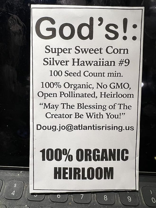 100% Organic, Silver, Hawaiian #9, Super, Sweet Corn, Heirloom, Open Pollinated, Non GMO