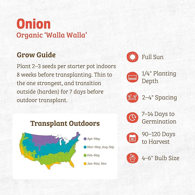 Back to The Roots 100% Organic Heirloom Seeds - Sweet Onion Seeds for Planting Value Pack (280mg Total)
