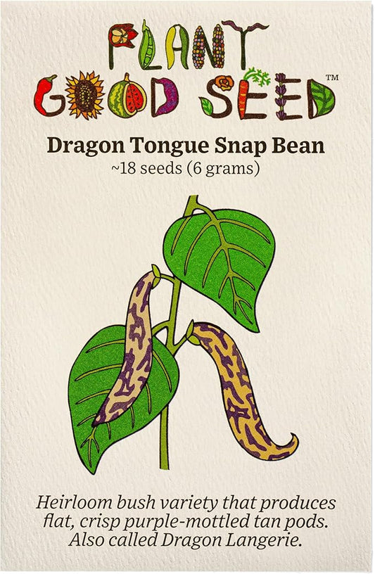 Plant Good Seed Organic Dragon Snap Bean Seeds for Planting: Heirloom Bush Vegetable, White Purple Pods - 18 Seed Packet