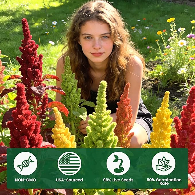 6000+ Amaranth Seeds for Planting, Non-GMO Heirloom Seeds for Outdoor Garden Home - Red & Green Garnet, Bronze, High Germination Flower Seeds for Vegetables Garden & Cut Flowers, Easy to Grow