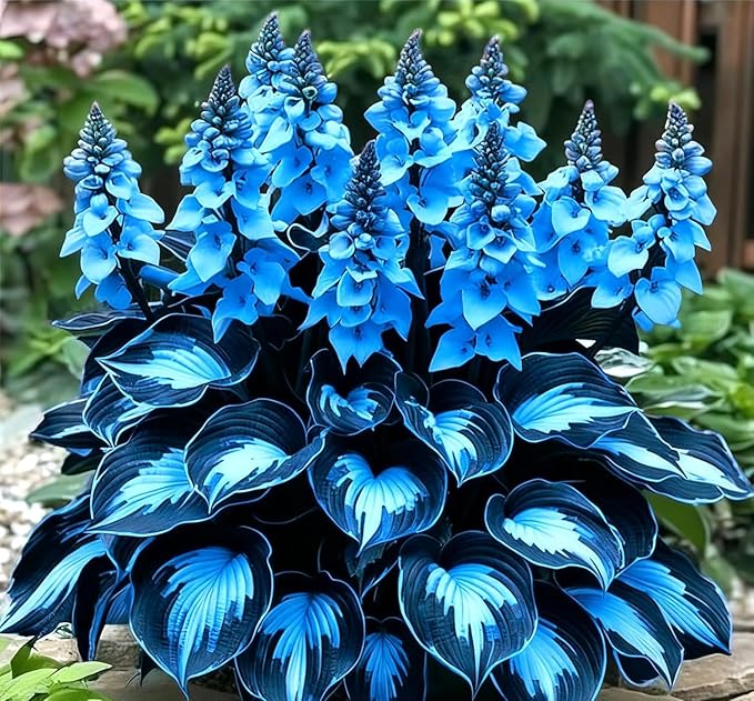 110 Pcs Fragrant Hosta Flower Seeds for Planting Easy Growing Perennial Shade Plants, Green Foliage for Garden Landscaping & Home Decor
