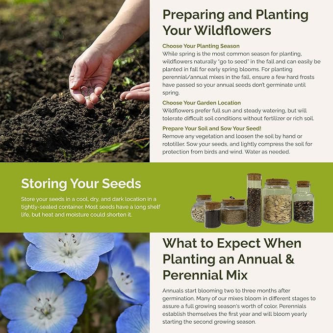 Eden Brothers Singin the Blues Wildflower Mixed Seeds for Planting, 1 lb, 480,000+ Seeds with Blue Flax, Lupine, Chicory | Attracts Pollinators, Plant in Spring or Fall, Zones 3, 4, 5, 6, 7, 8, 9, 10