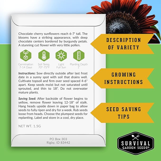Chocolate Cherry Sunflower Seeds for Planting | Rare Burgundy Black Blooms, 6-7ft Giant Non-GMO Heirloom Flower - Survival Garden Seeds (1 Pack)