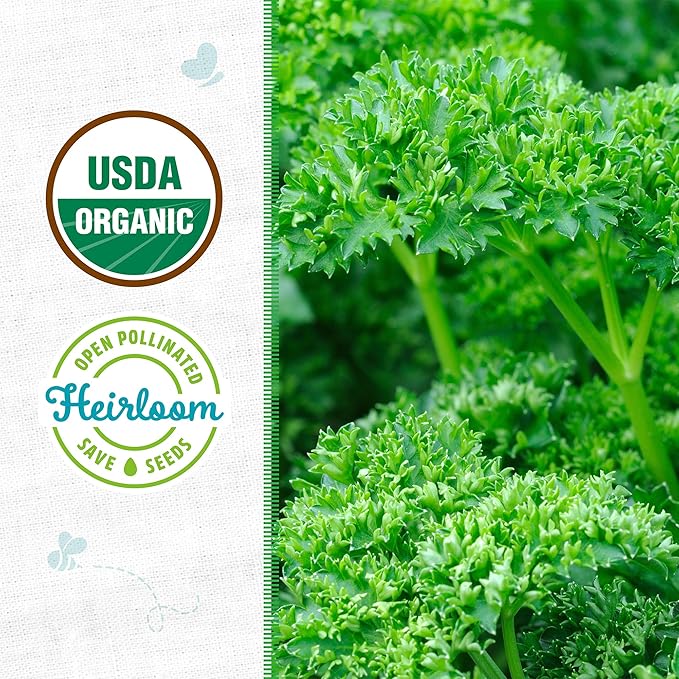 Back to The Roots 100% Organic Seed Packet - Parsley 'Moss Curled' 420mg