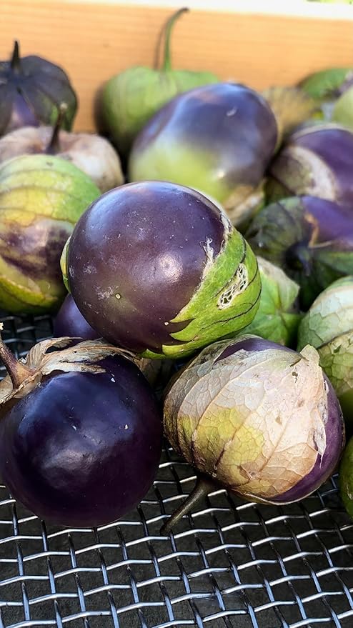 Plant Good Seed Organic Purple Tomatillo Seeds - Pack of 50, Heirloom Seeds for Planting Vegetables - Gardening Supplies, Fruit, Tomato, Vegetable Garden - Non-GMO, Open Pollinated, from USA