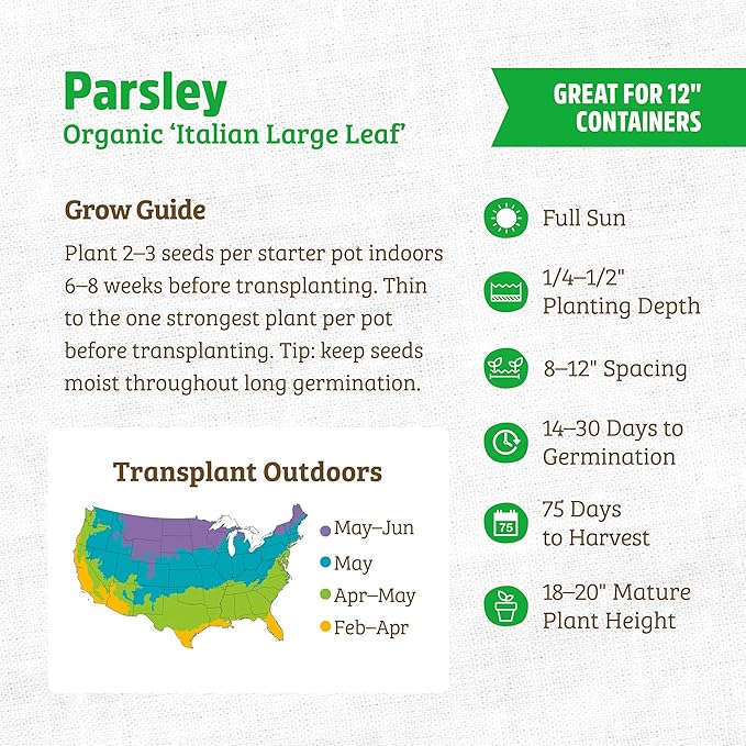 Back to The Roots 100% Organic Seed Packet - Parsley 'Italian Large Leaf' 420mg
