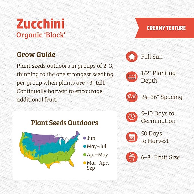 Back to The Roots 100% Organic Seed Packet - Squash 'Summer Black Zucchini' 2.8g