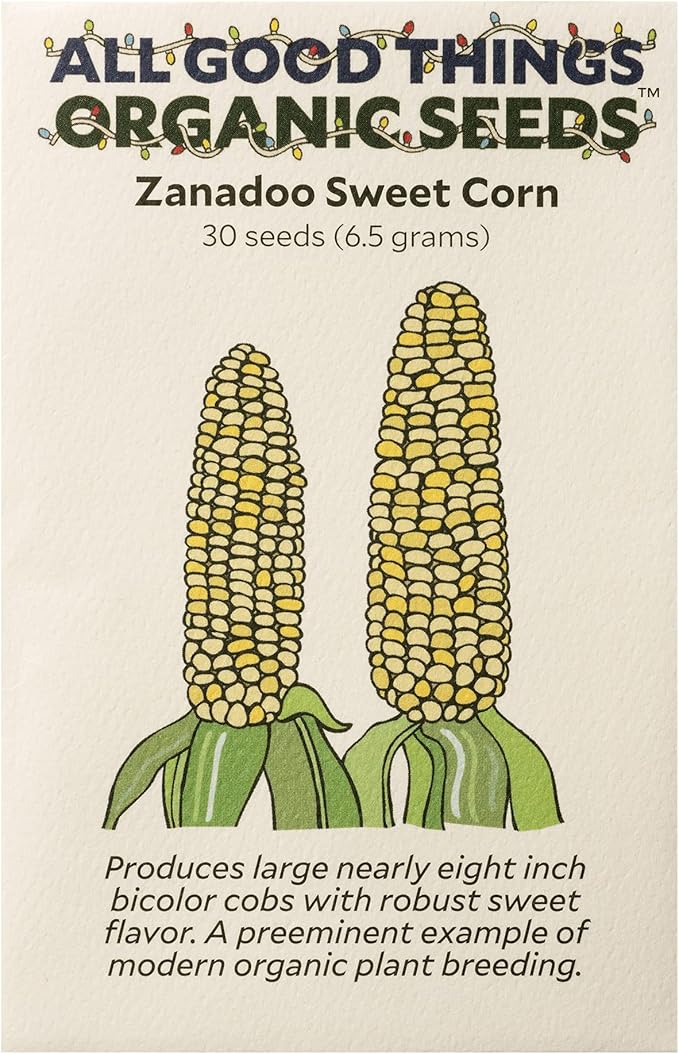 All Good Things Organic Zanadoo Sweet Corn Seeds for Planting: Lupine Knoll Farm Original, Bicolor Yellow and White Kernels - 30 Seed Packet