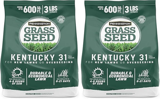 Pennington Kentucky 31 Tall Fescue Penkoted Grass Seed 3 lb, Green (Pack of 2)
