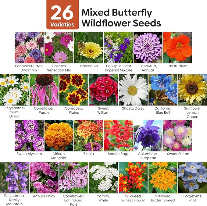 Groundio All Perennial Wildflower Seeds Bulk, 1/4 lb, 100,000+ Seeds, 26 Variety Mix with Milkweek, California Blue Bell, Attracts Pollinators, Plant in Spring or Fall, Zones 3, 4, 5, 6, 7, 8, 9, 10
