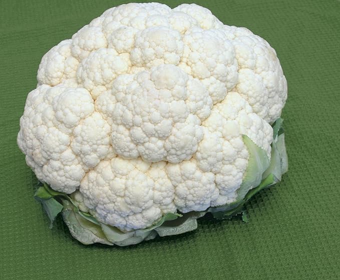 Burpee Snowball Y Organic Cauliflower Seeds 150 seeds