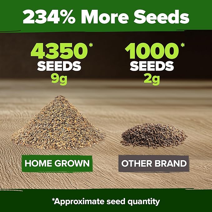 HOME GROWN Arugula Roquette Seeds 4350+ Bulk Pack Heirloom Non-GMO, High Germination, Peppery Salad Greens, Indoor Outdoor Hydroponic Garden, Microgreens, Year-Round Harvest (Eruca vesicaria)