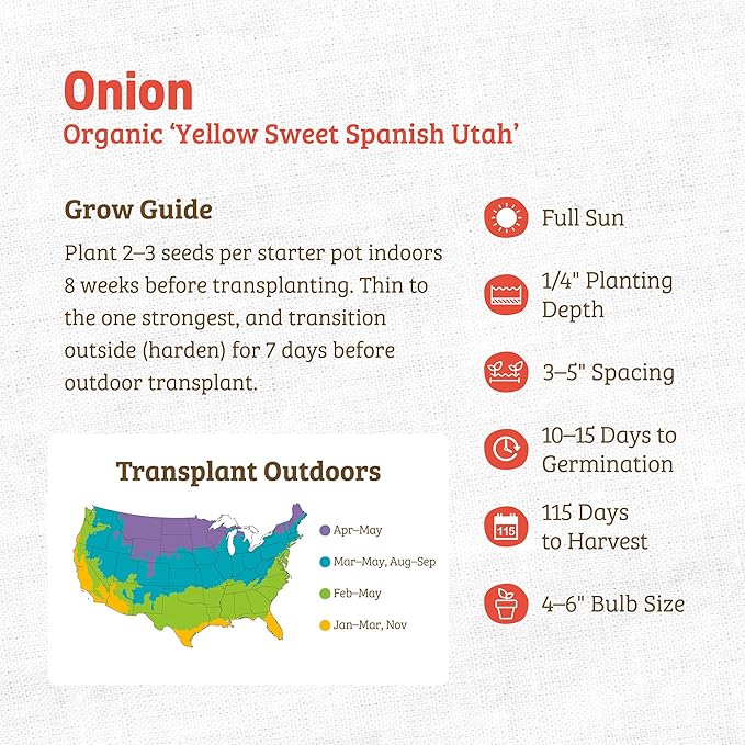 Back to The Roots 100% Organic Seed Packet - Onion 'Yellow Sweet Spanish Utah' 200mg