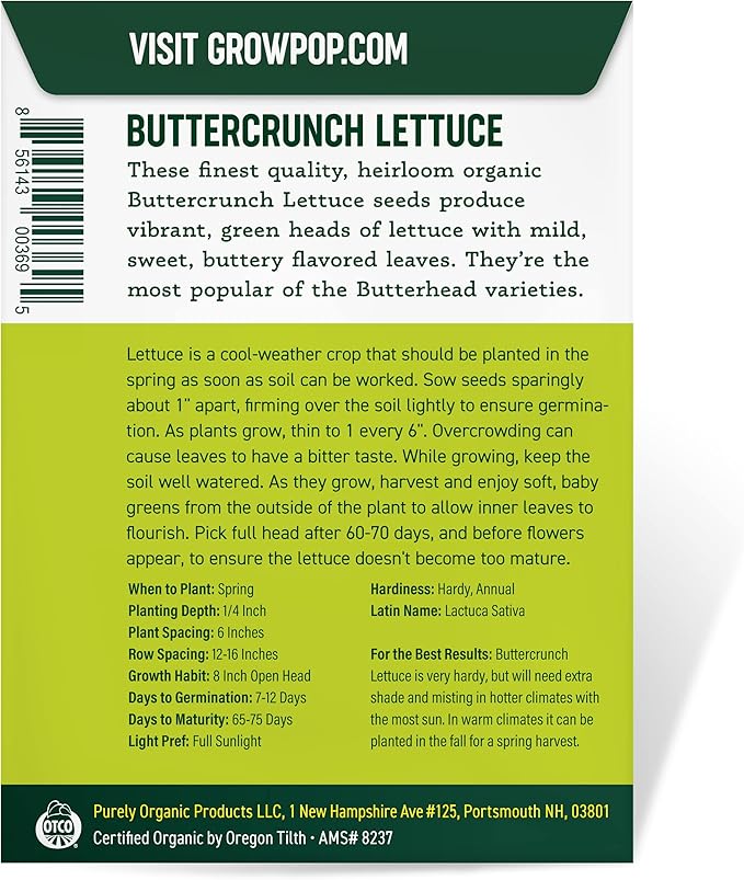 Organic Lettuce Seeds (Heirloom Buttercrunch) - Approx 1500 Seeds - Certified Organic, Non-GMO, Open Pollinated, Heirloom, USA Origin