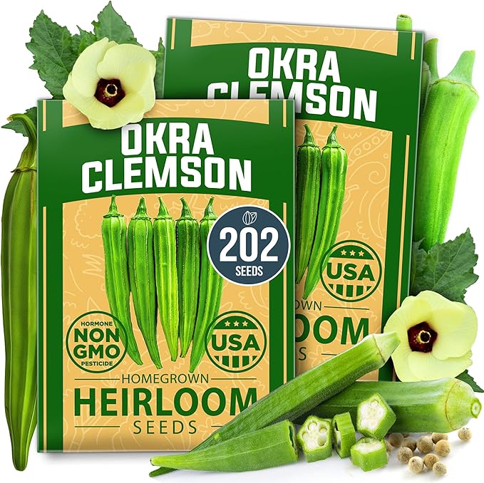 HOME GROWN Clemson Spineless Okra Seeds 202+ Heirloom Non-GMO Seeds for Planting, High Germination, Prolific Heat Loving Vegetable, Tender Pods, Easy to Harvest Home Garden (Abelmoschus esculentus)