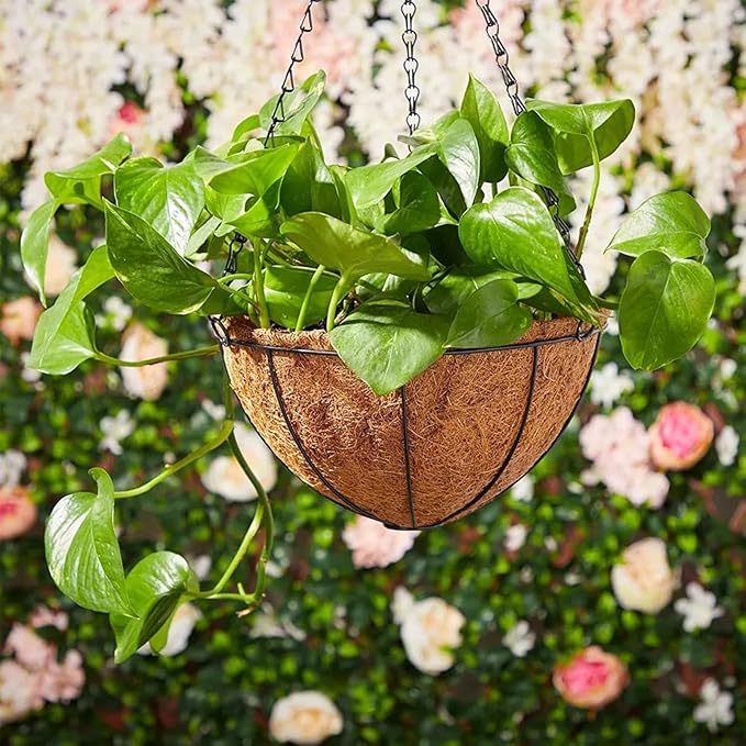 Hanging Baskets Planter for Plants - 4 Pack 12 Inch Metal Baskets with Coco Coir Liner, Hanging Flower Pots for Outside with Chain, Indoor Outdoor Garden Porch Decoration (12'' Pack of 4)