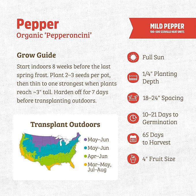 Back to the Roots 100% Organic Heirloom Seeds - Pepper 'Pepperoncini' Value Pack
