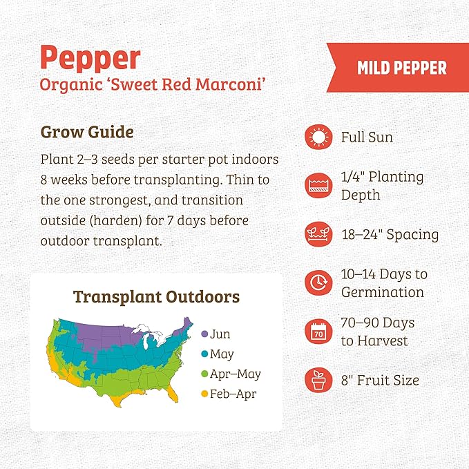 Back to The Roots 100% Organic Seed Packet - Pepper 'Sweet Red Marconi' 140mg