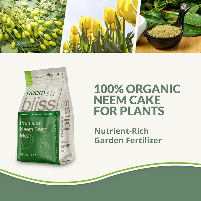 Coco Coir 650gm Bricks + Worm Castings + Mycorrhizal Inoculant + Neem Meal Fertilizer + Organic Biochar for Plants - All Natural Soil Amendments for Plants - Organic Coco Coir for Plants & Gardening