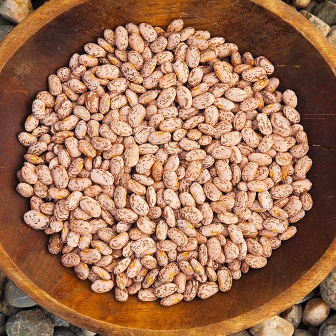 Organic Bean Seeds, Appr. 115, Pinto Dry Bean, Heirloom Vegetable Seeds, Certified Organic, Non GMO, Non Hybrid, USA