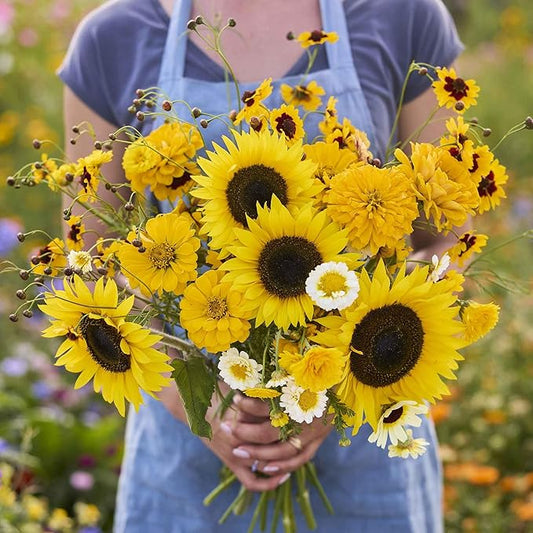 Eden Brothers Mellow Yellow Flower Mixed Seeds for Planting, 1/4 lb, 120,000+ Seeds with Painted Daisy, Zinnia, Cosmos | Attracts Pollinators, Plant in Spring or Fall, Zones 3, 4, 5, 6, 7, 8, 9, 10