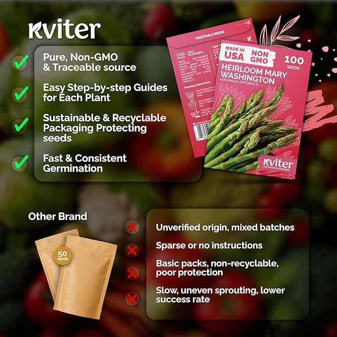 KVITER 100 Mary Washington Asparagus Seeds (Asparagus officinalis) – Heirloom Non GMO Asparagas Seed Packets Rust Resistant Perennial – Aspergus Vegetable Seeds for Planting Outdoors, Home Garden
