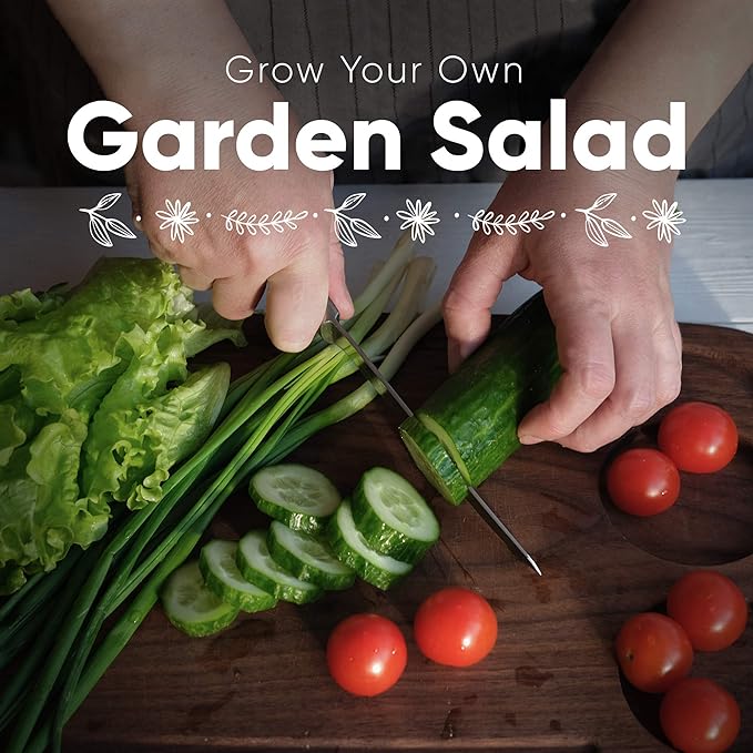 Certified Organic Vegetable Seeds - 9 Heirloom Seeds for Planting Vegetables - Seed Packets & Gift Box - Cherry Tomato, Romaine Lettuce, Broccoli, Cucumber, Radish, Sugar Snap Pea, Arugula, Basil