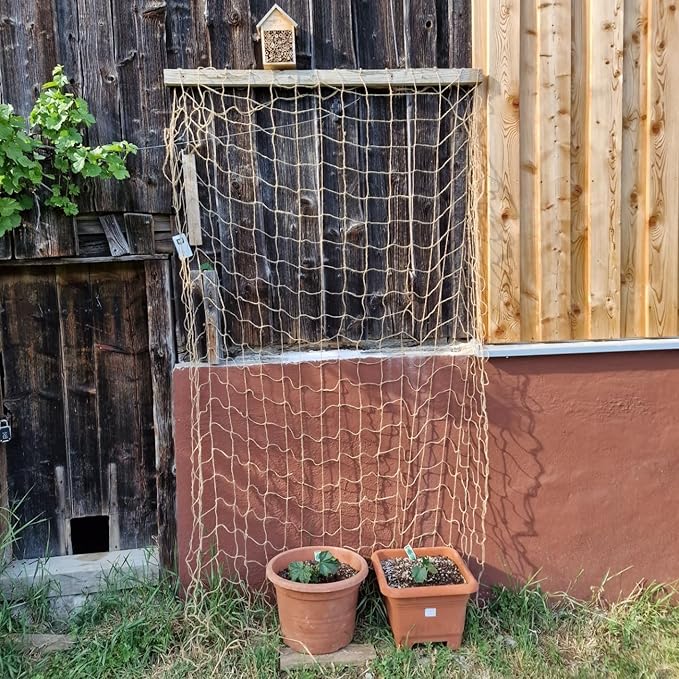 Jute Trellis Netting - Jute Netting for Garden, Heavy Duty Plant Support Netting for Climbing Plants, Cucumber, Vine, Fruits & Vegetables, Climbing Vining Plants (6.6 Ft x 32.8 Ft, 5.9 Inch Squares)