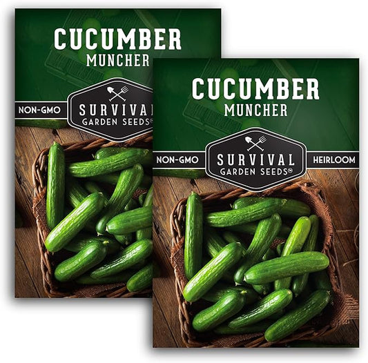 Muncher Cucumber Seeds for Planting | Burpless Variety with Smooth Skin for Snacking or Slicing – Survival Garden Seeds (2 Packs)
