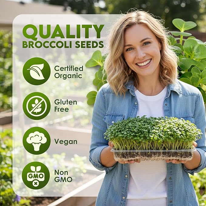 Nature Jim's Organic Broccoli Sprouting Seeds – Non-GMO, Rich in Sulforaphane, Fast-Growing Microgreen Seeds for Indoor/Outdoor Planting– Ideal Organic Sprouting Seed for Nutritious Gardening - 8oz