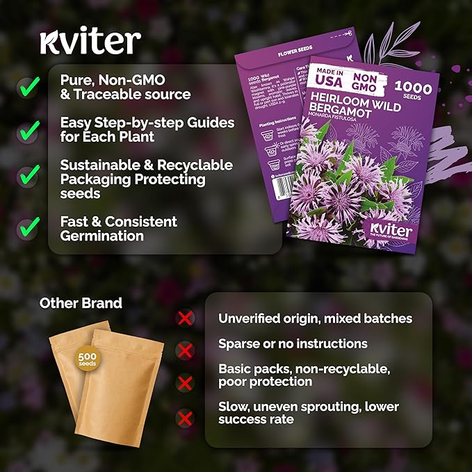 KVITER 1,000 Wild Bergamot Seeds for Planting (Monarda fistulosa) – Bee Balm Native Wildflower, Pollinator Magnet, Organic & Non GMO – Perennial Flower Seeds to Plant Outside in Flower/Herb Garden
