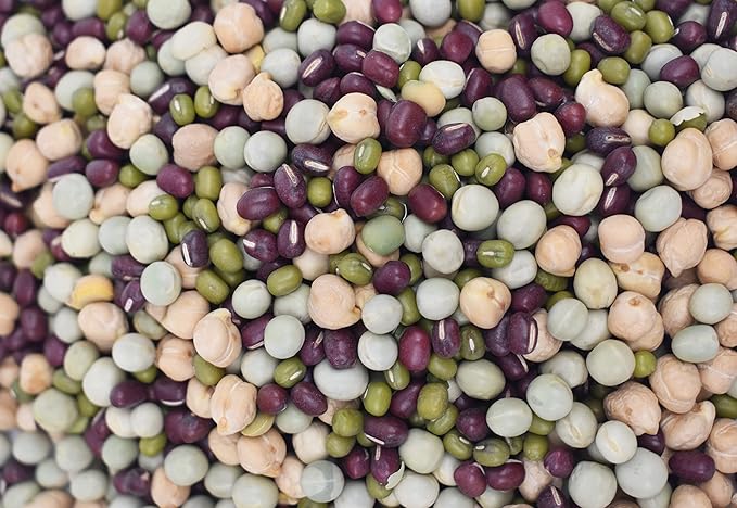 1/2 Pound Protein Bean Sprout Starter Seeds - 8 Servings per Bag - Organic NON-GMO - Includes Garbanzo, Adzuki, Mung, and Green Pea