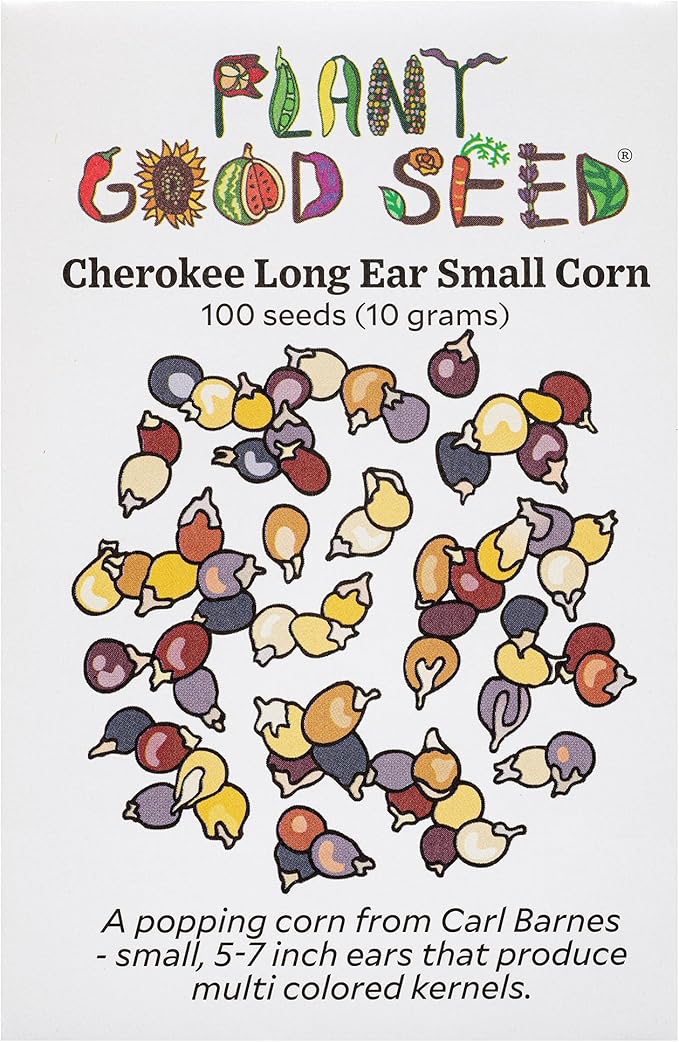 Plant Good Seed Organic Cherokee Long Ear Small Popping Corn Seed - Pack of 100 Heirloom Seeds for Planting Vegetables, Gardening Supplies - Non-GMO, Open Pollinated, from USA