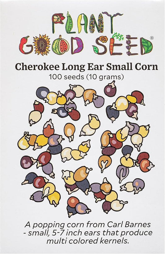 Plant Good Seed Organic Cherokee Long Ear Small Popping Corn Seed - Pack of 100 Heirloom Seeds for Planting Vegetables, Gardening Supplies - Non-GMO, Open Pollinated, from USA