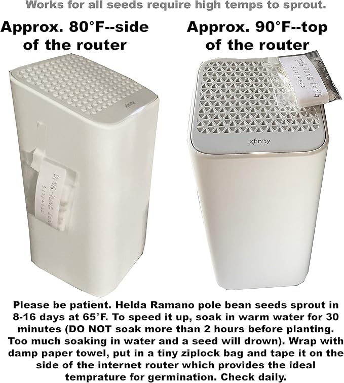 Bean Seeds for Planting Vegetables and Fruits. Pole Beans,Bush Beans,Romano Beans.Non GMO Garden Seeds for Home Vegetable Garden-Organic Stringless Heirloom Romano Green Pole Bean Seeds Helda-30ct+